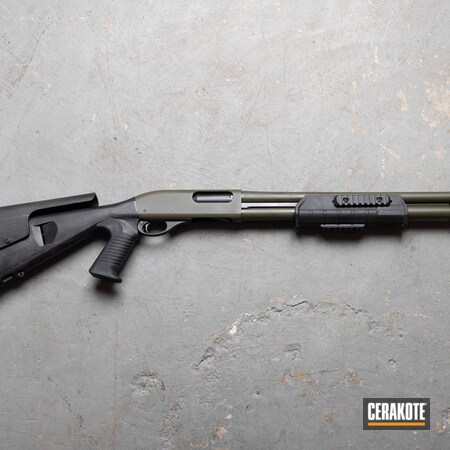 Powder Coating: 12 Gauge,Shotgun,S.H.O.T,MIL SPEC GREEN  H-264,Remington,870