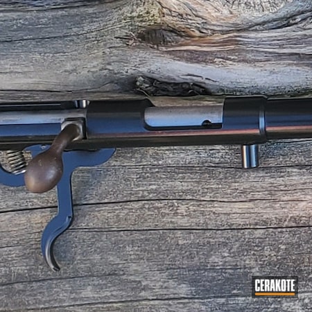 Powder Coating: Gloss Black H-109,S.H.O.T,.22,Remington,Rifle