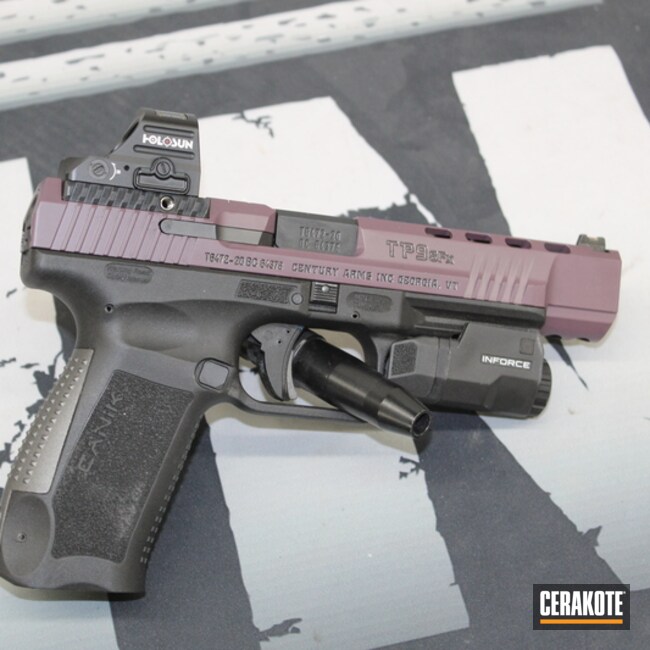 Cerakoted Canik Tp9 In C-102 And E-320
