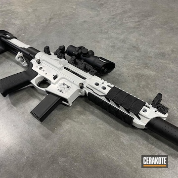 Cerakoted Stormtrooper Ar Build In H-146 And H-297