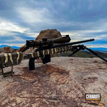 Desert Sand And Magpul® Flat Dark Earth Long Range Tactical Rifle