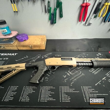 Powder Coating: Shotgun,BLACKOUT E-100,S.H.O.T,Pump-action Shotgun,Armor Black H-190,Coyote Tan H-235