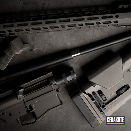 Powder Coating: S.H.O.T,Tactical Rifle,Tungsten H-237,AR-15,Rifle