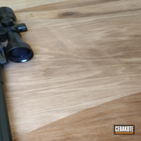 Powder Coating: Graphite Black H-146,S.H.O.T,Tactical Rifle