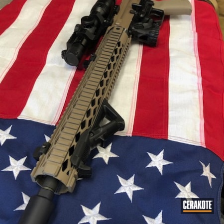 Powder Coating: AR Rifle,S.H.O.T,Coyote Tan H-235