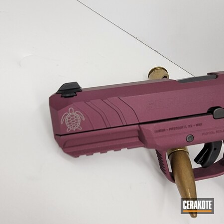 Powder Coating: S.H.O.T,Pistol,Ruger pistol,BLACK CHERRY H-319,Ruger Security 9