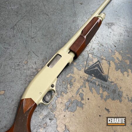 Powder Coating: 12 Gauge,Shotgun,S.H.O.T,Pump-action Shotgun,Refinished,Remington,Complete Restoration,Restoration,BENELLI® SAND H-143