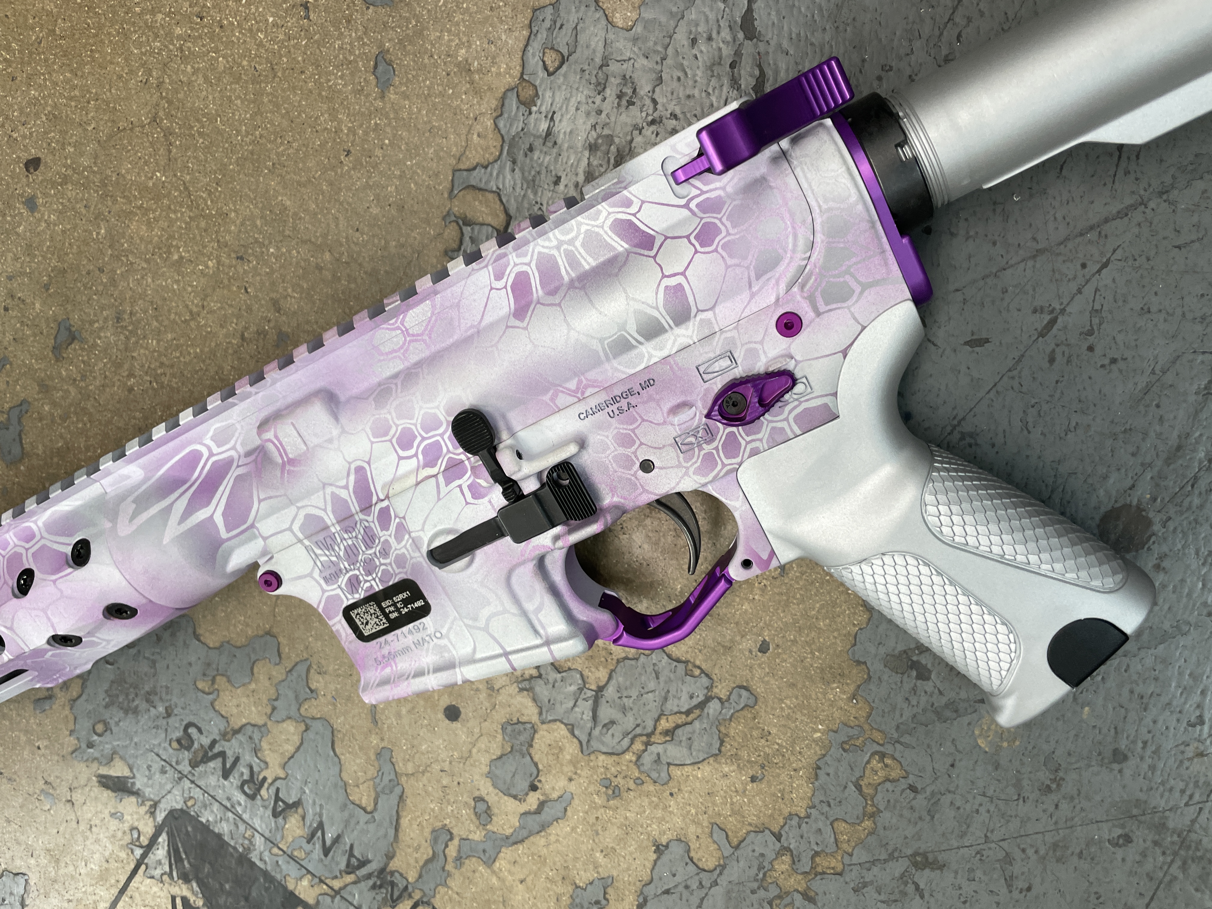 Snow Camo coated with Frost, Crushed Silver, Purplexed and Bright ...