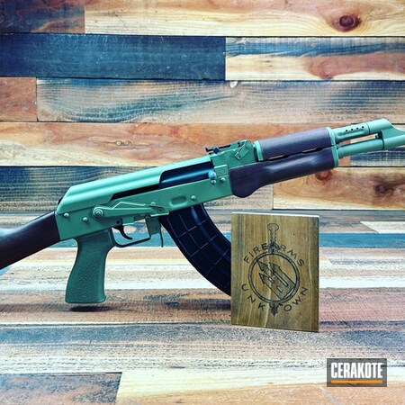 Powder Coating: AK-47,S.H.O.T,Century Arms, Inc.,Crocodile H-360