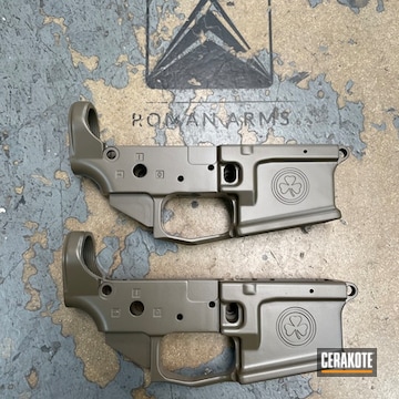 Cerakoted Blackout And Fde Custom Lower Receiver