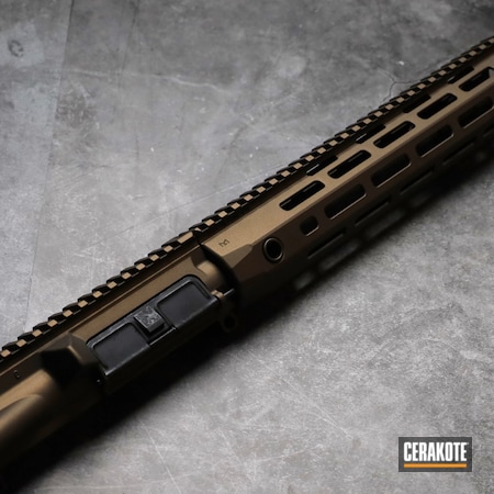 Powder Coating: Midnight Bronze H-294,EOTech,S.H.O.T,AR-15,Radian Weapons