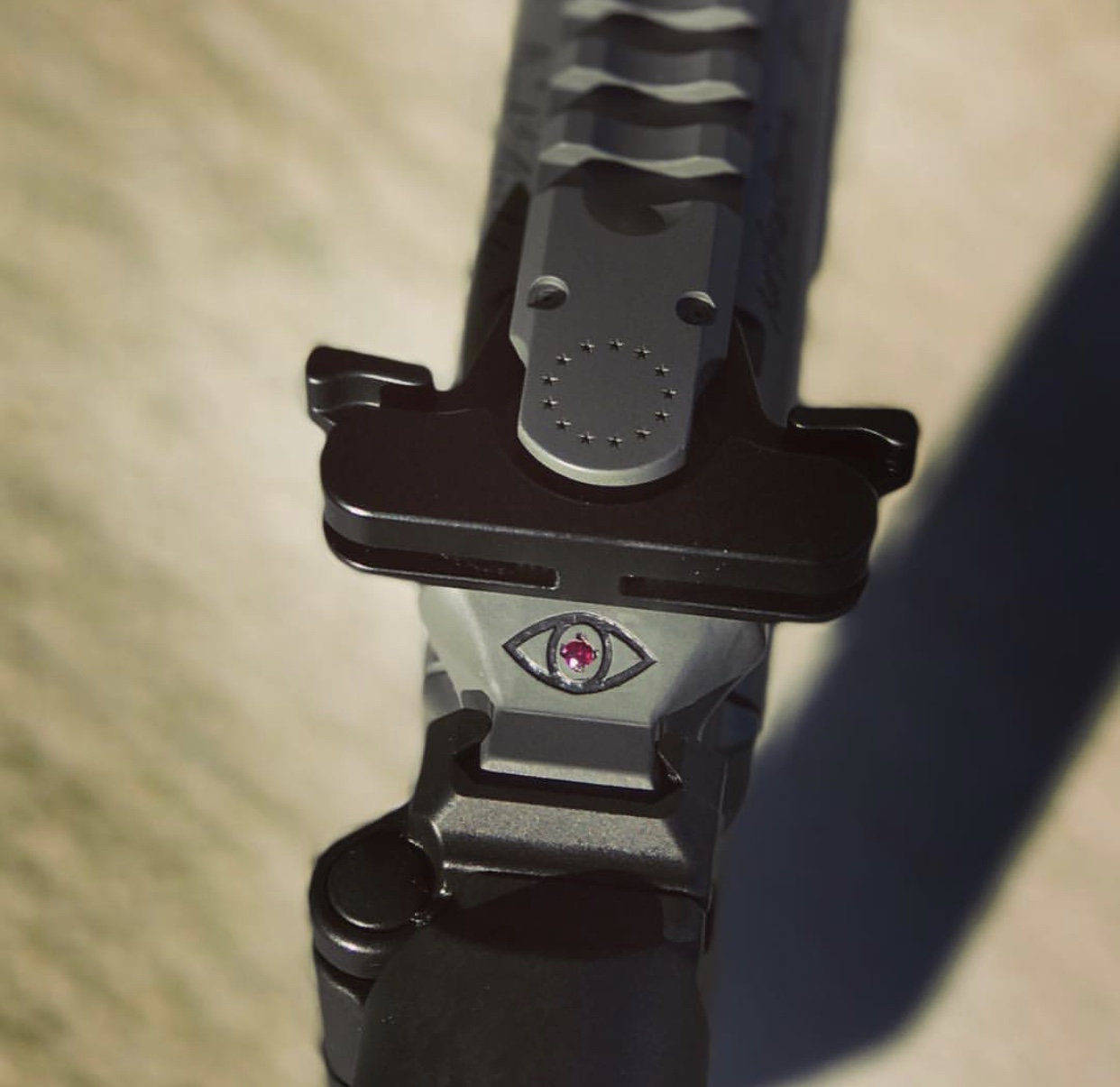 Sig Ruby Custom Sig Sauer MPX with real ruby | Cerakote