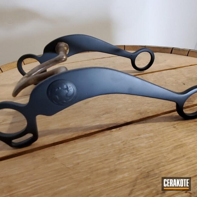 Equestrian Bit
