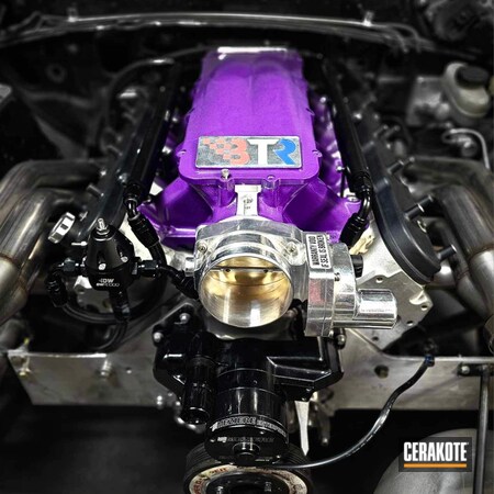 Powder Coating: Snow White H-136,Intake Manifold,Automotive,Intake,FIREHOUSE RED H-216,LOLLYPOP PURPLE C-163,BLUE FLAME C-158