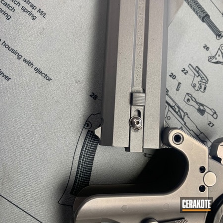 Powder Coating: Montana,BLACKOUT E-100,Bond Arms Derringer,Titanium E-250,Pistol,Derringer