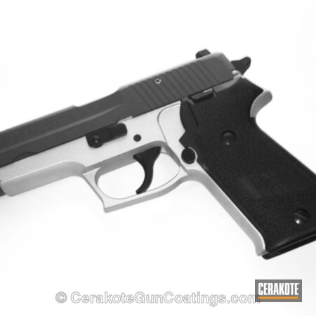 Powder Coating: Sig Sauer,Texas Cerakote,Handguns,Grey,Crushed Silver H-255,McMillan Grey H-201,Painted Pistol