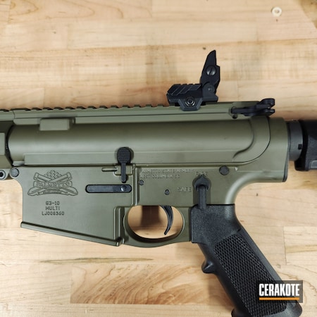 Powder Coating: Mil Spec O.D. Green H-240,AR10, 308,Palmetto State Armory,O.D. Green H-236