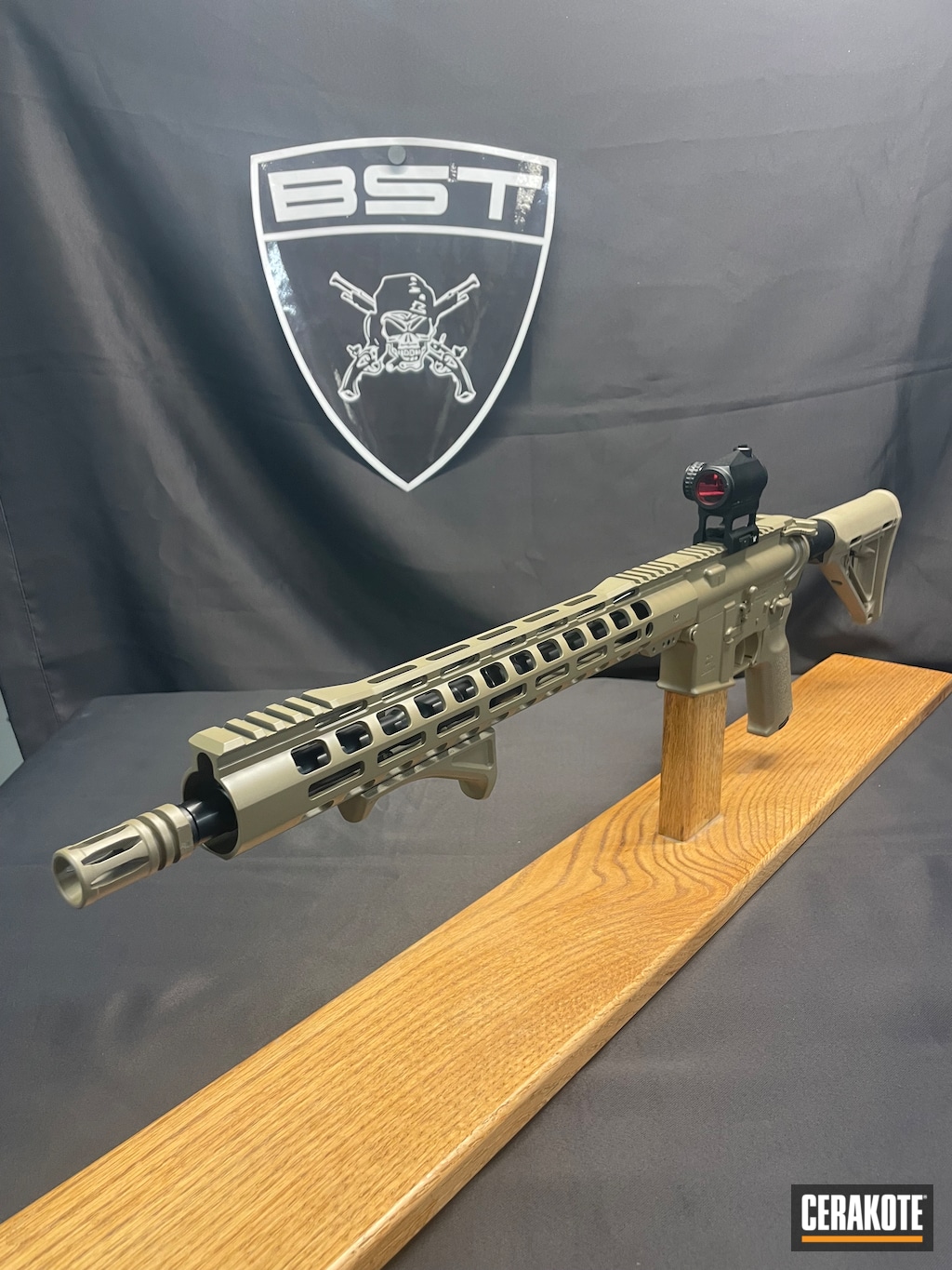 PSA AR15 Cerakote