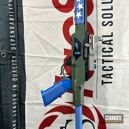Powder Coating: Tactical Solutions,NRA Blue H-171,Gloss Black H-109,JESSE JAMES EASTERN FRONT GREEN  H-400