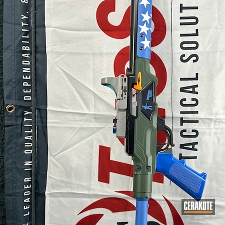 Powder Coating: Tactical Solutions,NRA Blue H-171,Gloss Black H-109,JESSE JAMES EASTERN FRONT GREEN  H-400