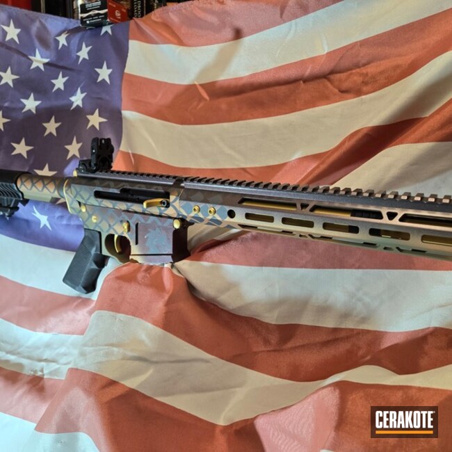 The Dragon Ar10 Coated With Cerakote