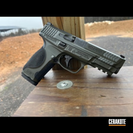 Powder Coating: Smith & Wesson M&P,S.H.O.T,MIL SPEC GREEN  H-264,MilSpec