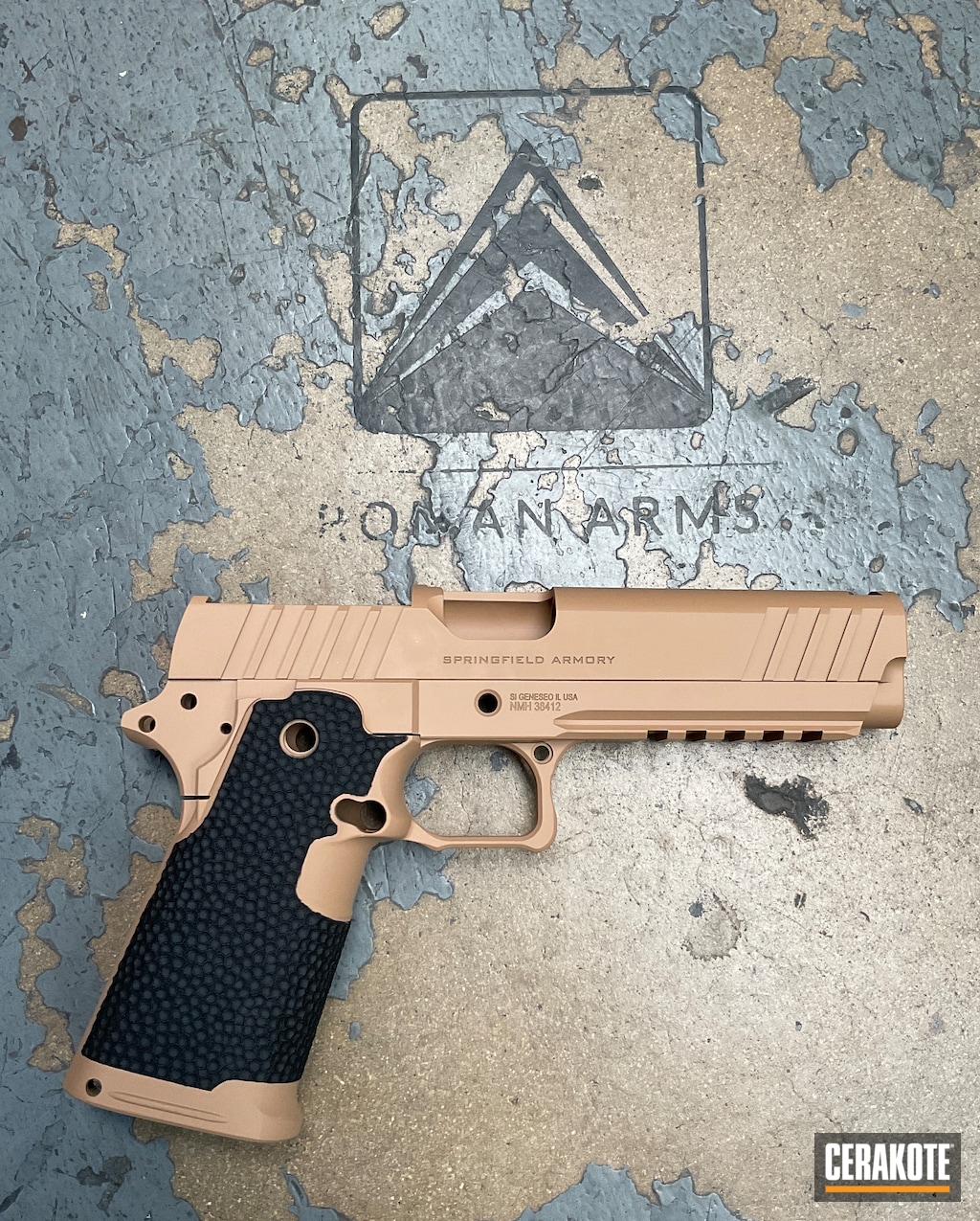 Springfield Prodigy in Gen II Flat Dark Earth and Armor Black | Cerakote