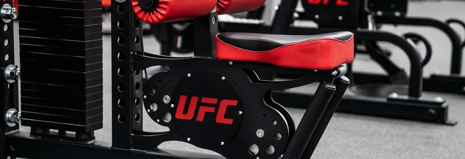 Prismatic Powders in the Fitness Industry