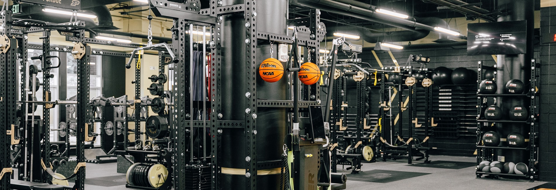 Prismatic Powders in the Fitness Industry