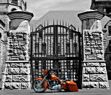 undefined profile image