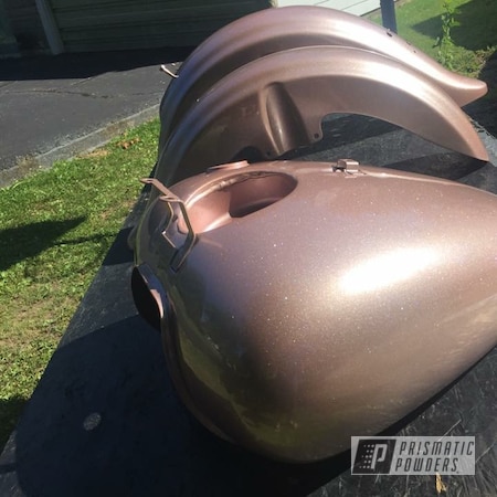 Powder Coating: ILLUSION ROSE GOLD - DISCONTINUED PMB-10047,Fuel Tank,Silver Sparkle PPB-4727,Motorcycle Parts