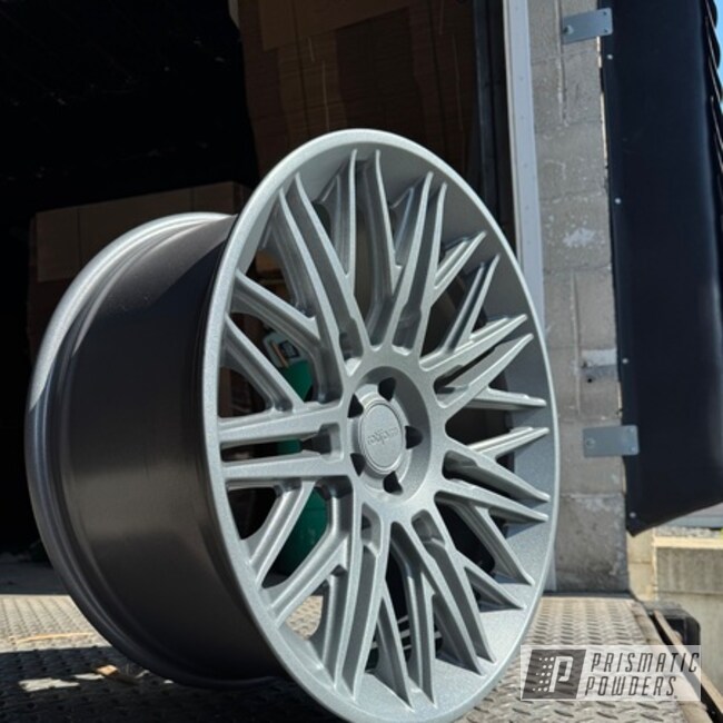 Winter Silver 2 X Fog Clear Rotiforms