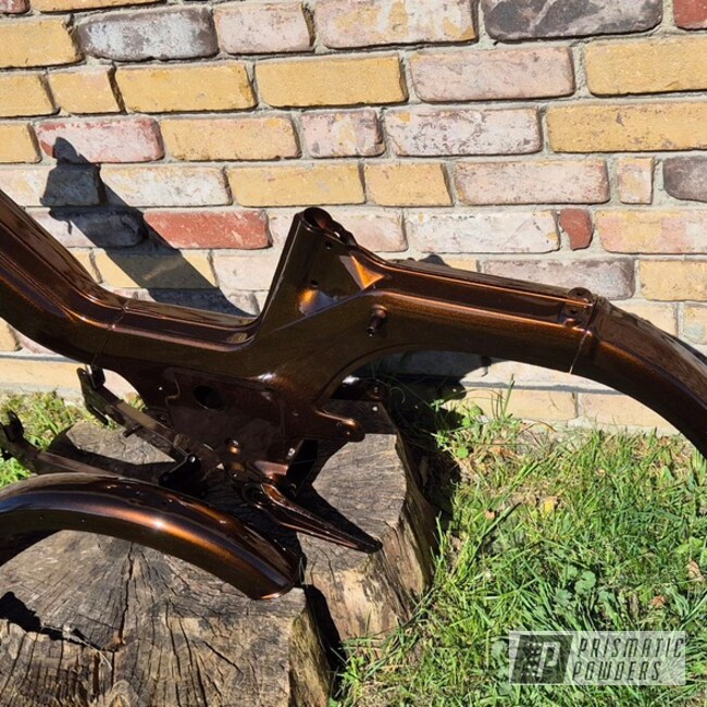 Whiskey Bronze Motorcycle Frame