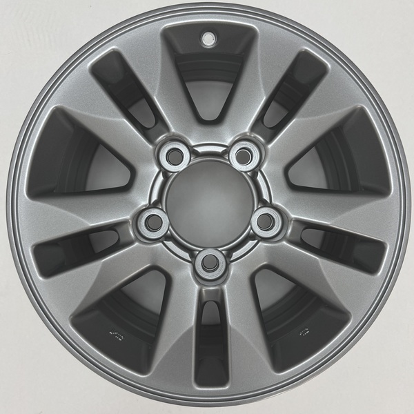 Toyota LandCruiser 17