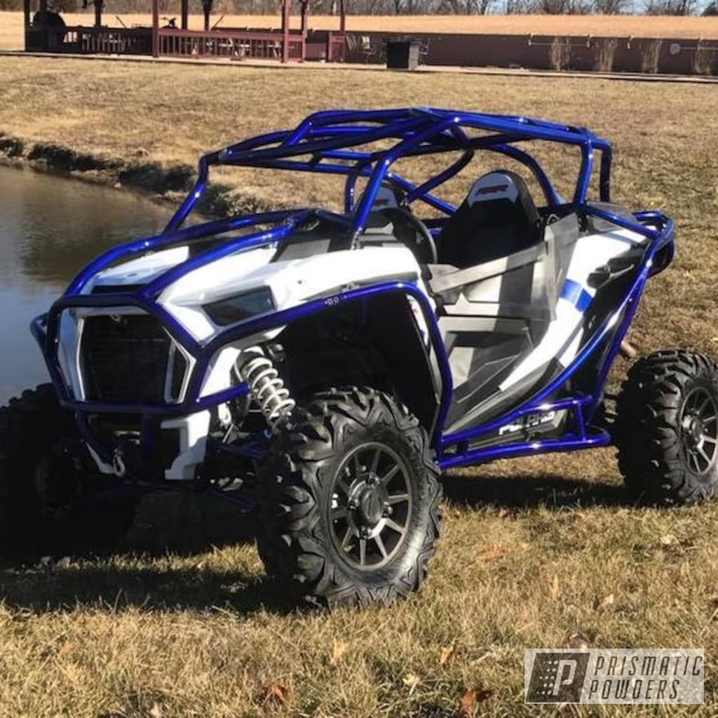 Polaris Rzr Cage With Illusion Royal And Clear Vision Prismatic Powders