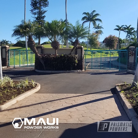 Powder Coating: Maui Blue PPB-5210,Gates,Resort,Driveway Gates,Miscellaneous,Commercial,Architectural,RAL 6033 Mint Turquoise