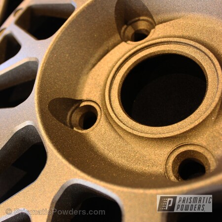 Powder Coating: Wheels,Automotive,Wheel Centers,Powder Coated Barramundi Design Wheels,Bronze Cast PCB-1105