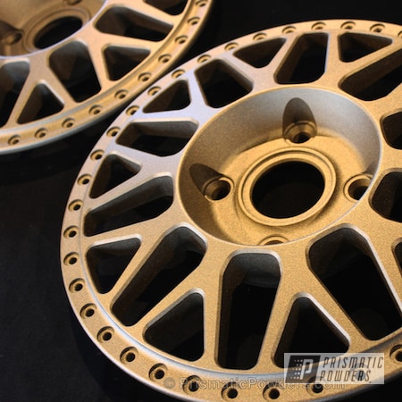 Powder Coating: Wheel Centers,Powder Coated Barramundi Design Wheels,Bronze Cast PCB-1105,Automotive,Wheels