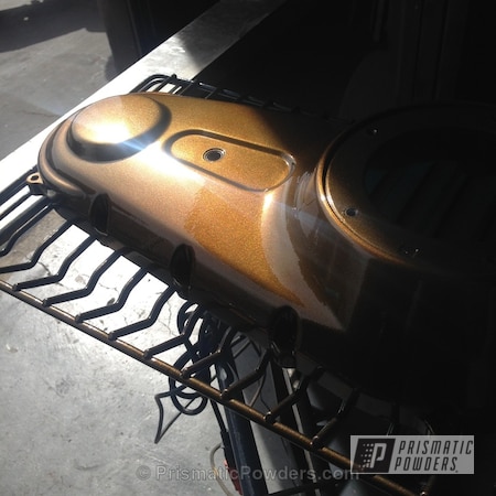 Powder Coating: Motorcycles,Powder Coated 2011 Dyna Motorcycle Component,Gold Sparkle PPB-4499,Kingsport Grey PMB-5027