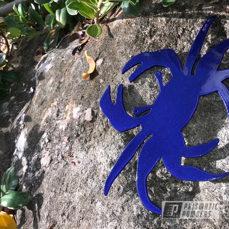 Powder Coating: Clear Top Coat,Illusion Royal PMS-6925,Miscellaneous,Clear Vision PPS-2974,Crab Art