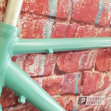 Powder Coated Bicycle Frame In Pmb-6797