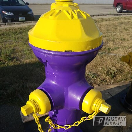 Powder Coating: RAL 1018 Zinc Yellow,2 Color Application,Crimson Purple PMB-2054,Miscellaneous,Fire Hydrant,Vintage