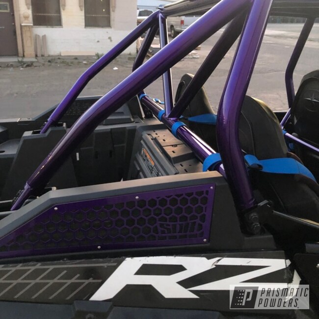 Powder Coated Polaris Rzr Roll Cage In Hss-2345 And Pps-4442
