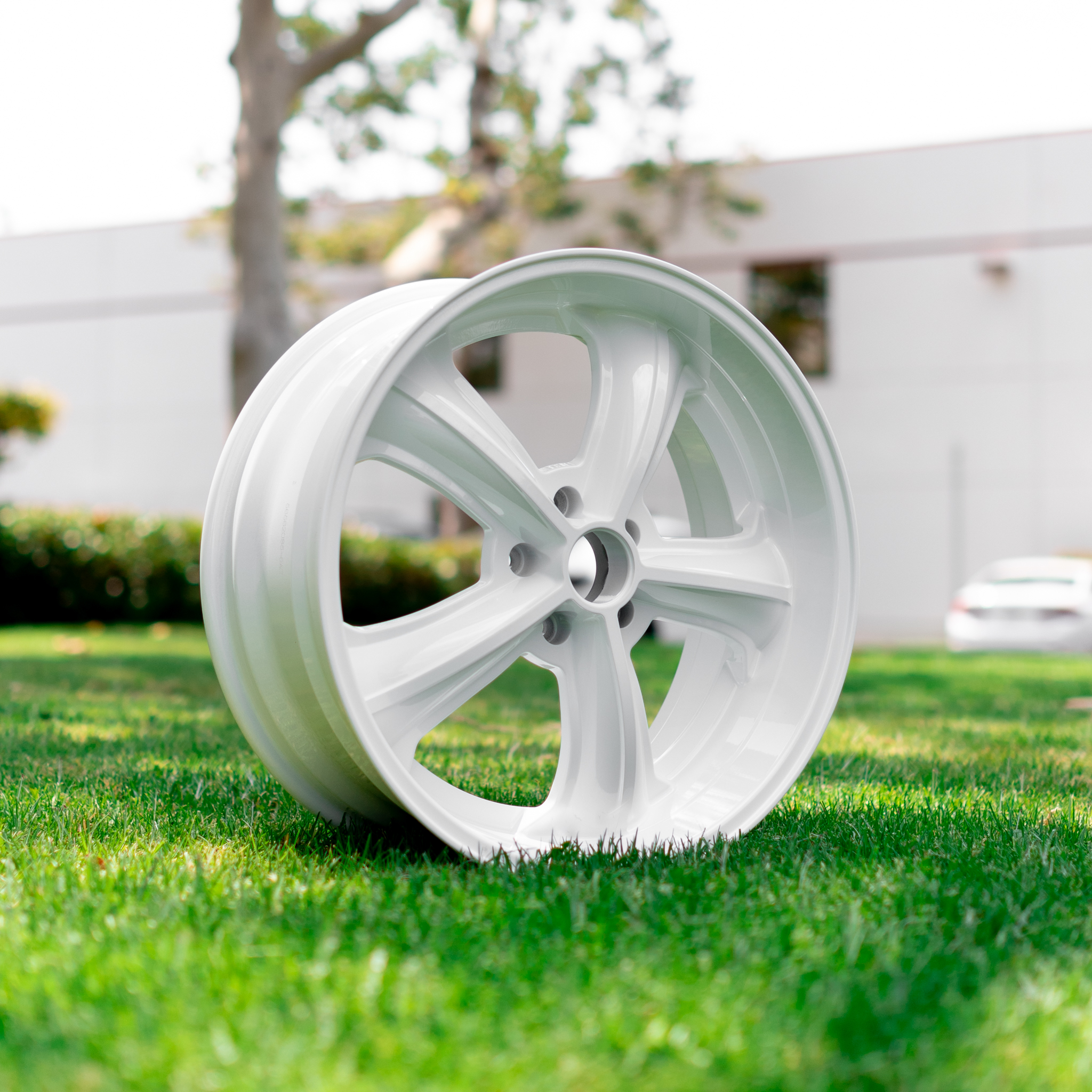 Wheels in Polar White | Prismatic Powders