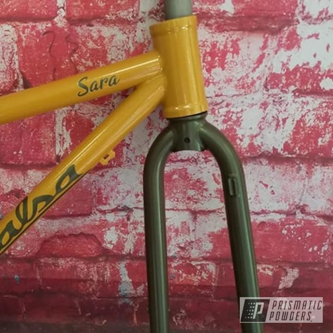 Powder Coated Bicycle Frame And Fork In Pmb-6881 And Pmb-6350