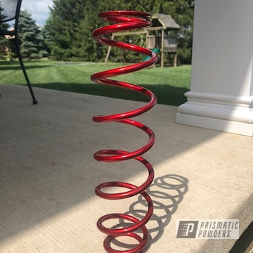 Powder Coated Spring In Hss-2345 And Ppb-6934