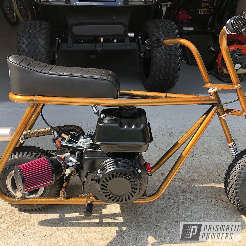 Mini Bike Frame with Goldtastic Prismatic Powders