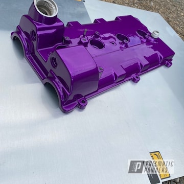 Powder Coated Valve Cover In Pss-4514 And Pps-2974