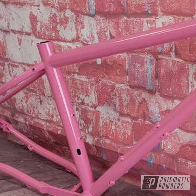 Powder Coated Bicycle Frame In Pmb-1371