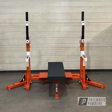 Powder Coated Gym Equipment In Pps-4005 And Pms-4620